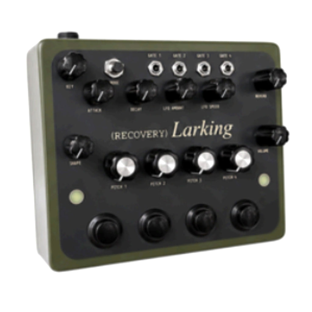 Recovery Larking, keyboard synthesizer instrument