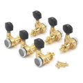 Set of six gold guitar tuning pegs with black knobs and six gold screws on white background.