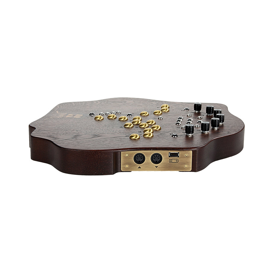 SOMA Laboratory Terra - Dark Wood, keyboard synthesizer instrument