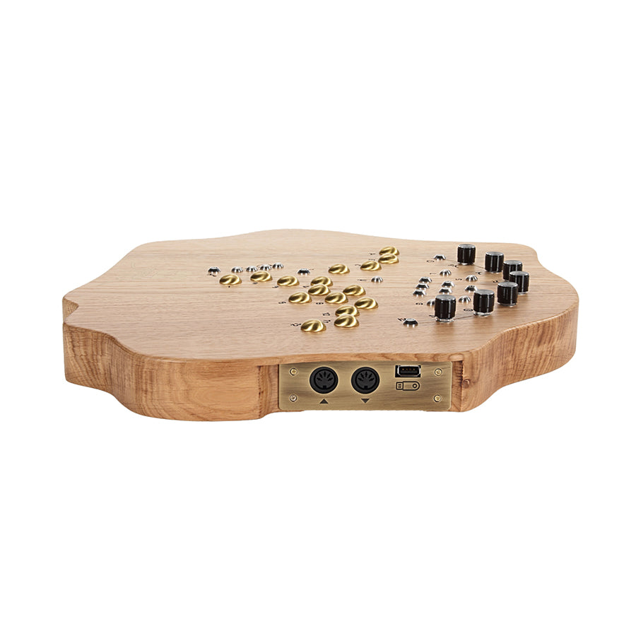 SOMA Laboratory Terra - Light Wood, keyboard synthesizer instrument