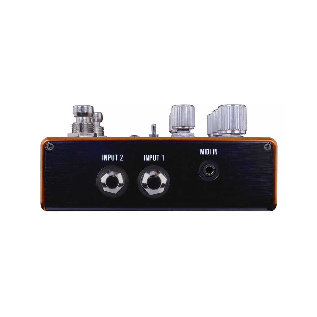 Source Audio Pathways Reverb & Tremolo
