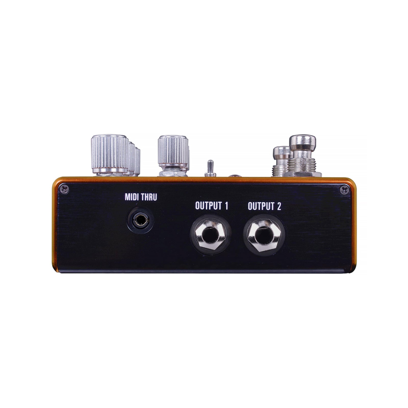 Source Audio Pathways Reverb & Tremolo
