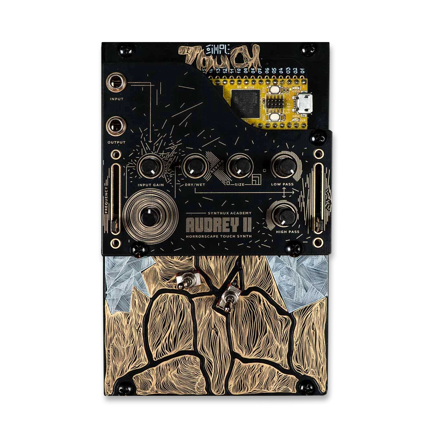 Front view of a black and gold synth module with multiple knobs, switches, and input/output jacks.