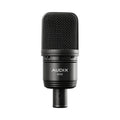 Black studio microphone with metal mesh grille and two small switches above the AUDIX A133 label.