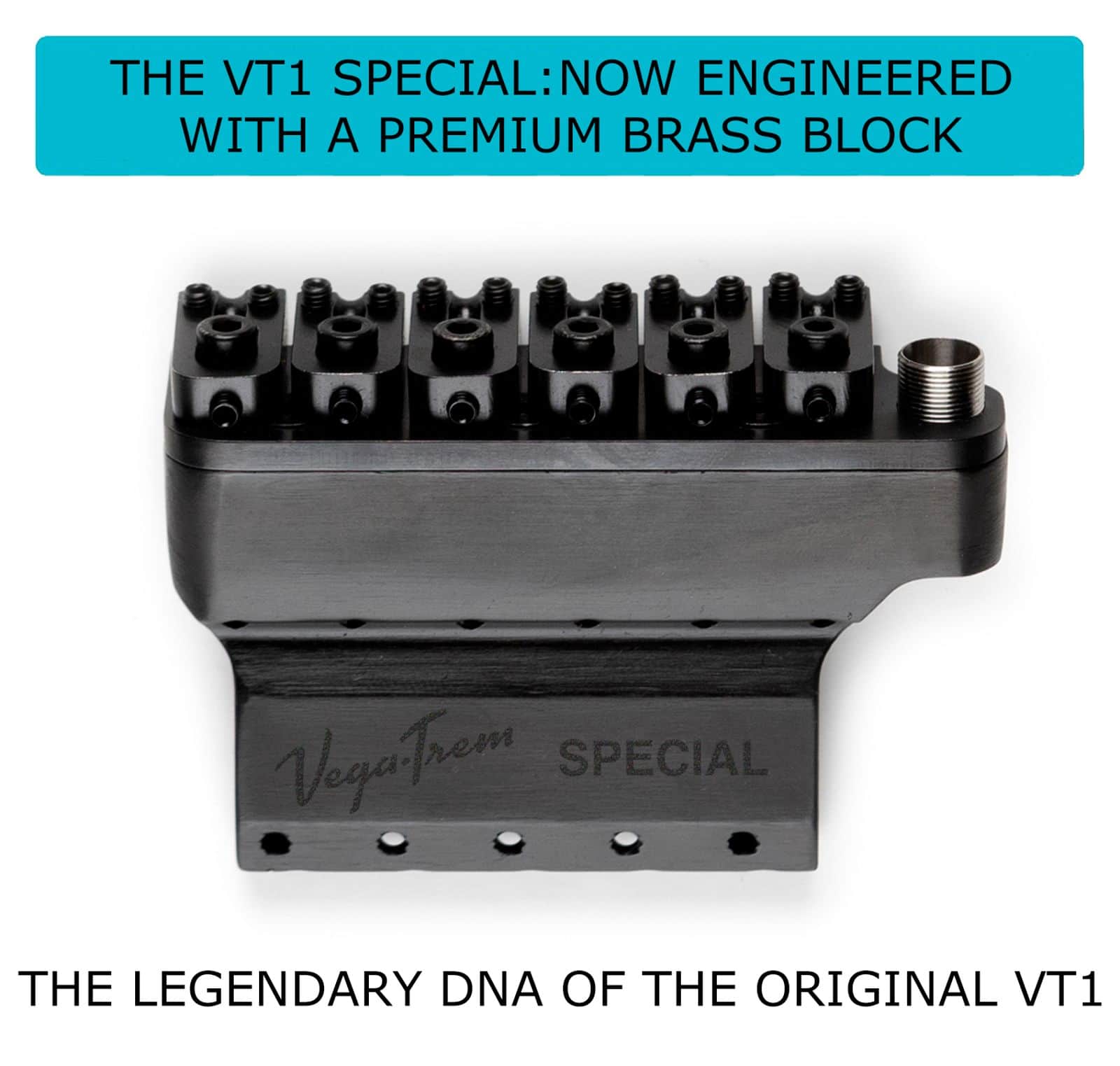 Vega Trem VT1 Special Standard 6 Point System for Strat – Black