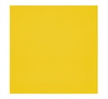 48''x48''x1'' Bevelled EcoScapes Panel (3pk) - Citrus