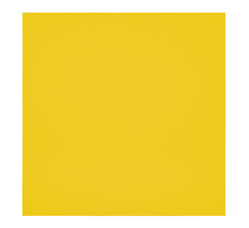 Primacoustic 48''x48''x1'' Bevelled EcoScapes Panel (3pk) - Citrus, studio other