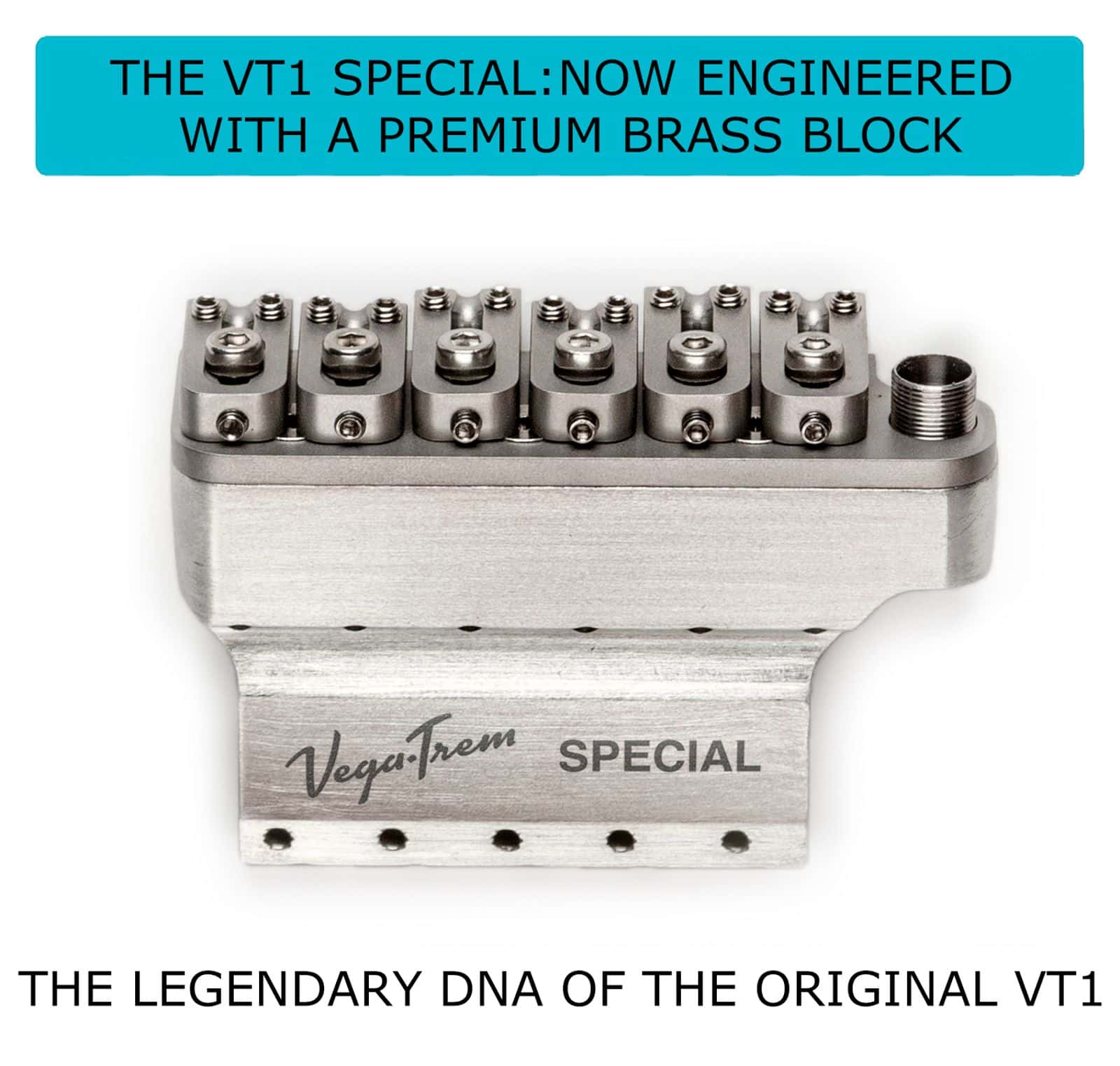 Vega Trem VT1 Special Standard 2 Point System for Strat – Satin