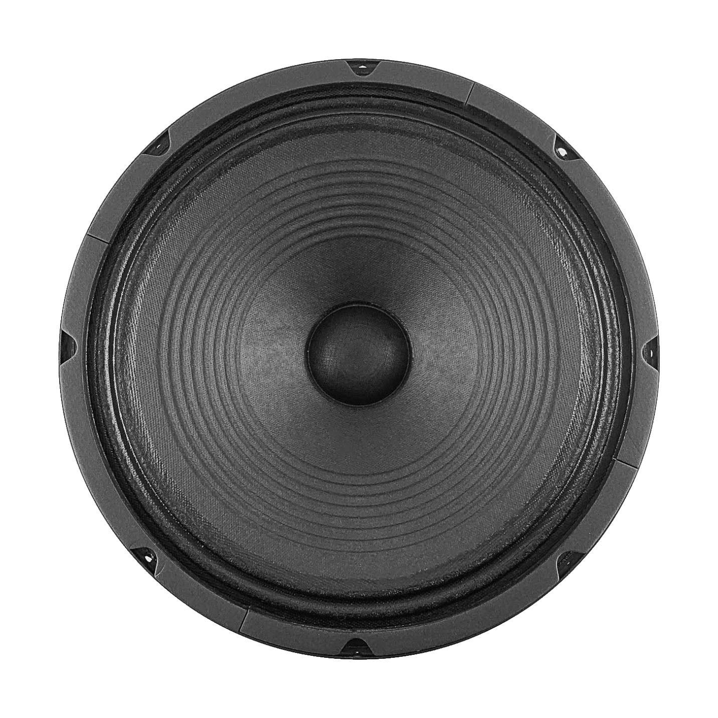 Jensen 12″ Blackbird – 8 ohm – 40W Guitar Speaker