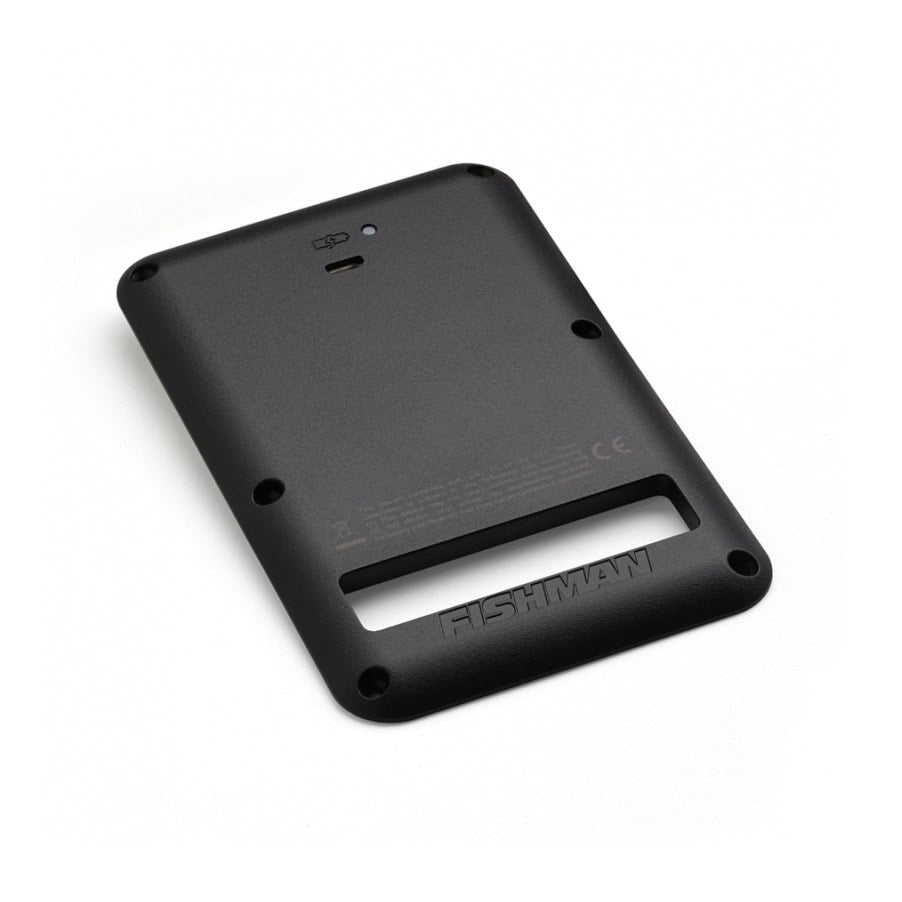 Black rectangular Fishman battery pack with USB Type-C port and small button