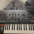 Moog Grandmother 32-Key Semi-Modular Analog Synthesizer (Dark Edition)