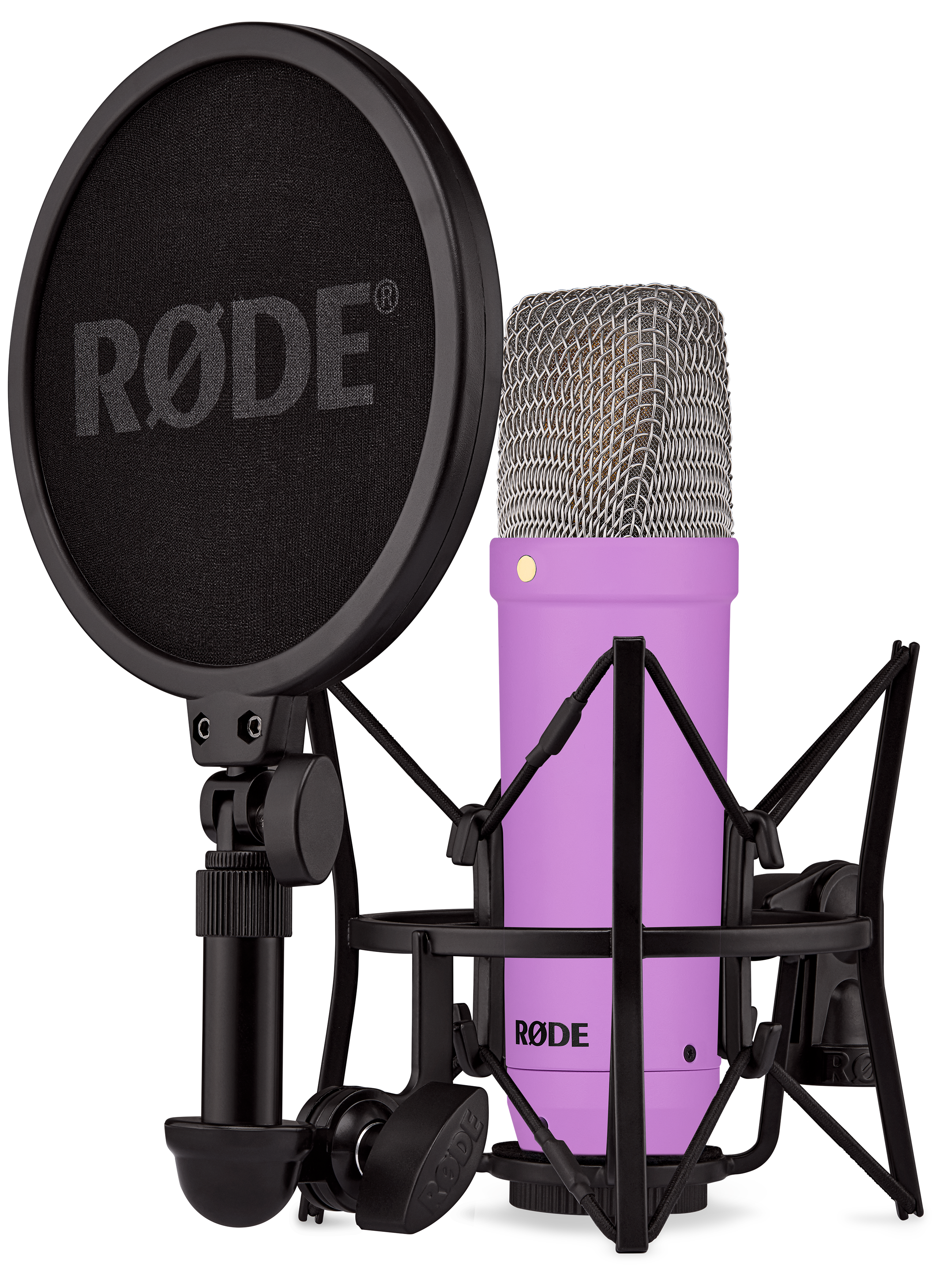 NT1 Signature Series Studio Condenser Microphone - Purple