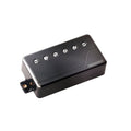 Black electric guitar humbucker pickup with six adjustable pole screws and Fishman logo.