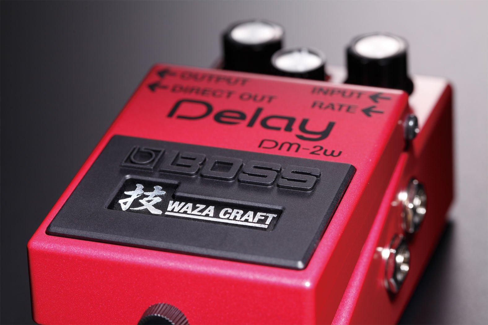 Boss DM-2W Waza Craft Custom Delay