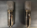 Warm Audio WA-87 R2 TS Large-diaphragm Condenser Microphone Stereo Pair - Limited-edition Titanium Share Item ID: WA87R2TS 2025 - Titanium