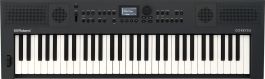 ROLAND GO:KEYS 5 Gt | 61-key Music Creation Keyboard | Graphite