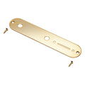 Gold metal control plate with two screws on a white background.