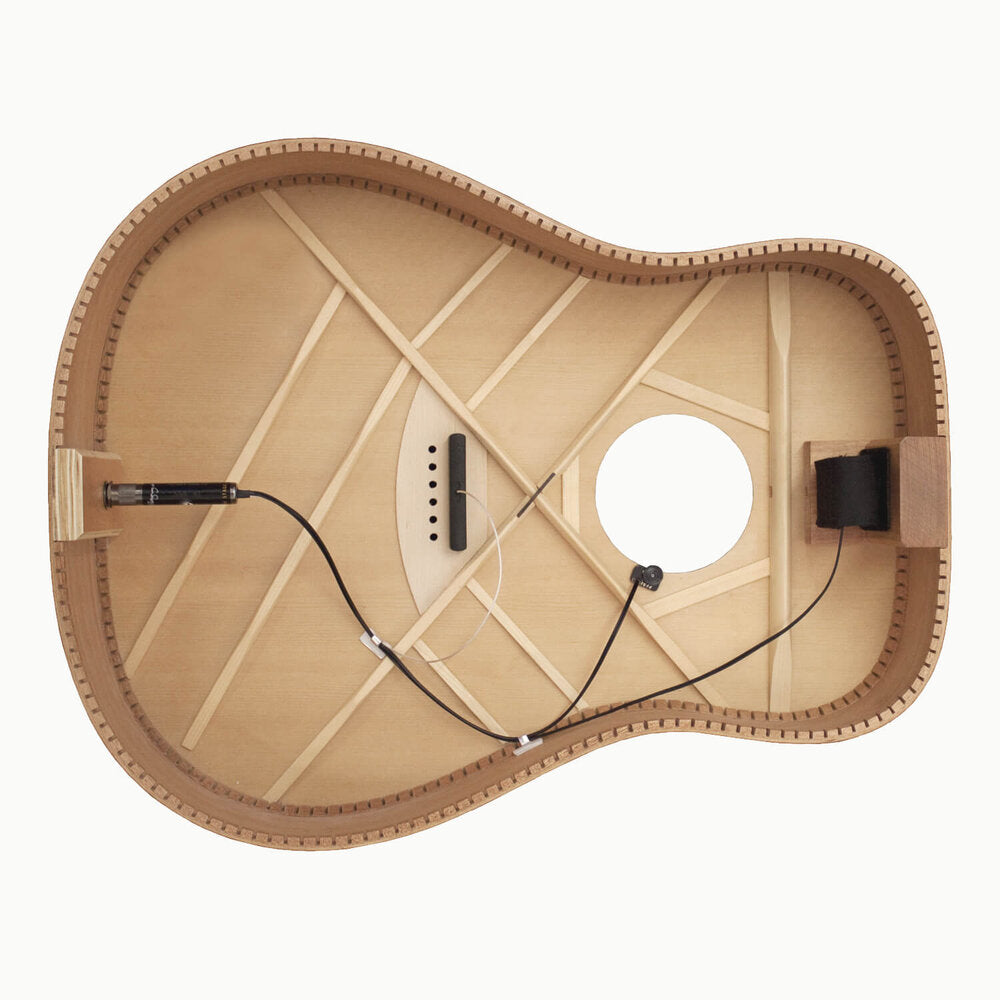 LR Baggs iBeam Active Acoustic Guitar System