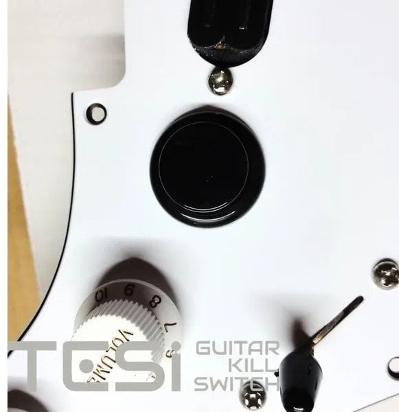 Tesi Switch DITO 24MM Solid Arcade Push Button Guitar Kill Switch