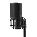 Black studio microphone with shock mount and rectangular pop filter attached, labeled KSM40C.