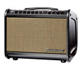 Traynor 65 Watt Acoustic Amp w/Effects Model: # AMMINI
