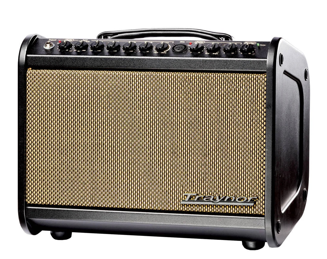 Traynor 65 Watt Acoustic Amp w/Effects Model: # AMMINI