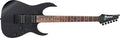 Ibanez RGRT421WK RG Neck-Thru Electric Guitar - Weathered Black