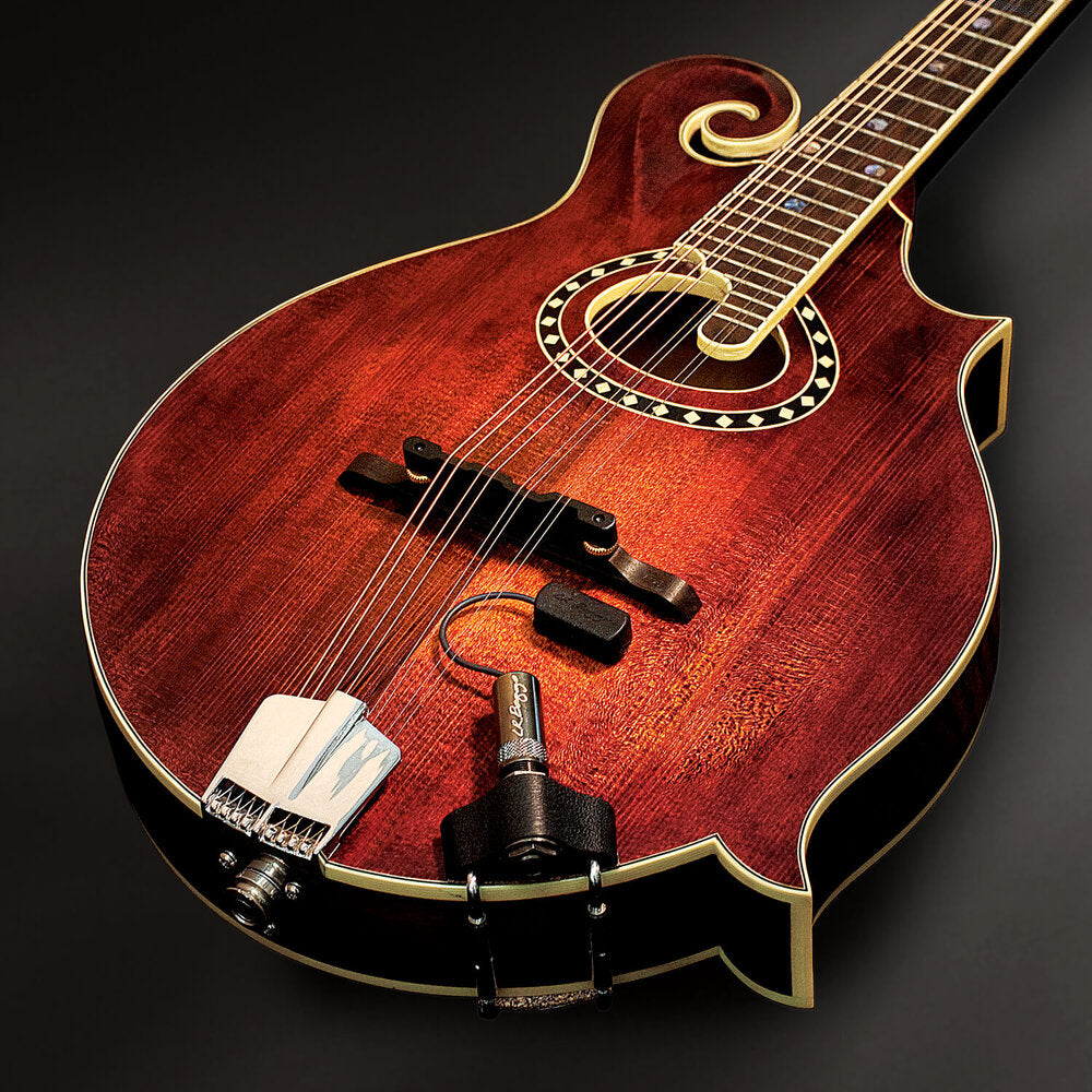LR Baggs Radius Mandolin Pickup