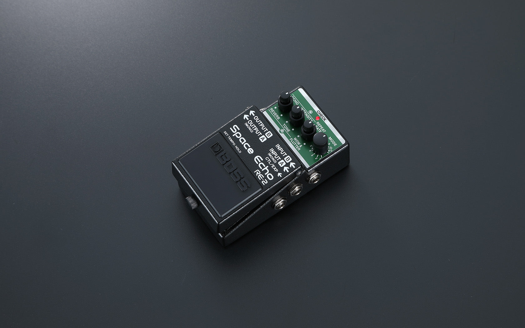 Boss RE-2 Space Echo Pedal