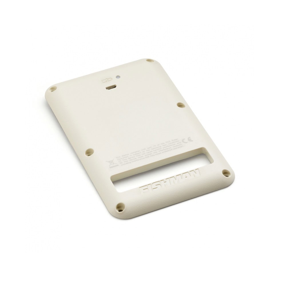 White rectangular plastic battery pack with micro USB port, small button, and the brand name Fishman embossed.